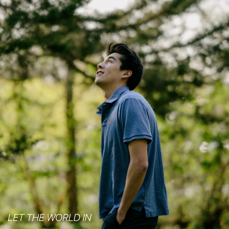 Let The World In — cover art